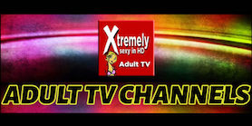  Paramount+ FREE Trial