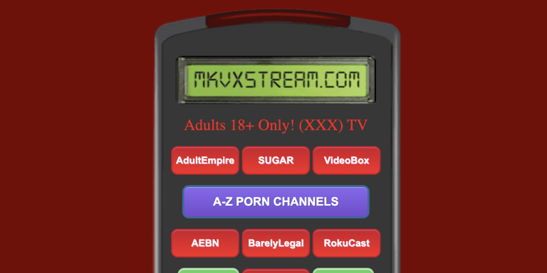 adult remote control